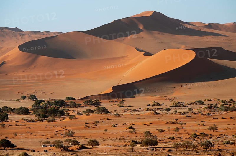 Barren vegetation between red-yellow Namib sand dunes, Namib Desert, Namib-Naukluft National Park, Namibia