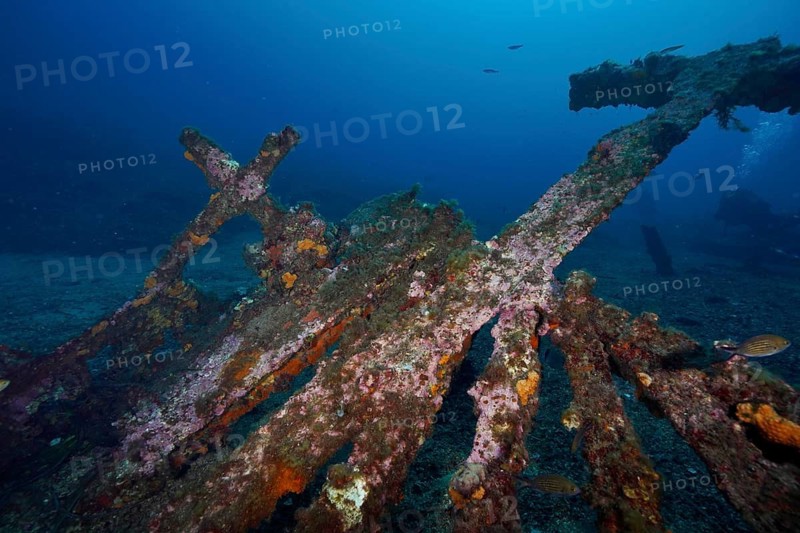 Parts of a rusted shipwreck lie on the seabed in clear water, dive site Wreck Michel C, Hyères, Giens Peninsula, Mediterranean Sea, Provence Alpes Côte d'Azur, France