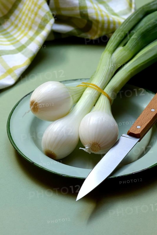 Spring onion with knife on plate, Allium cepa