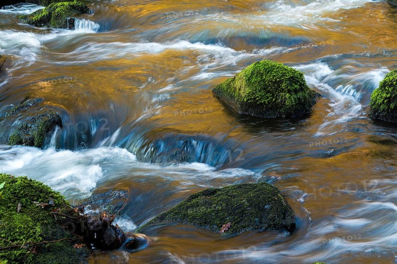 Germany, Saxony, Triebtal, rivers, landscape, atmosphere, Vogtland