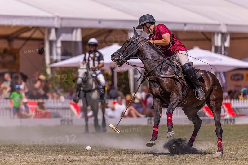 Polo player, polo horse, polo pony (Equus), rider, polo tournament, 1295 Polo Masters, Sylvenstal, Pfullendorf, Linzgau, Sigmaringen district, Baden-Württemberg, Germany