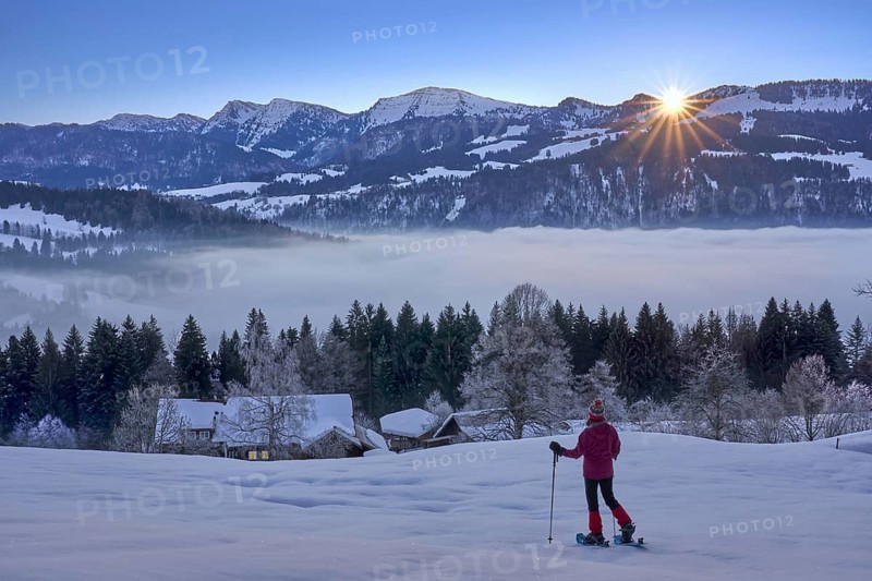 Sportive woman watching sunrise over the Nagelfluh mountain chain with Hochgrat summit in the Allgaeu Alps, Oberstaufen, Bavaria, Germany