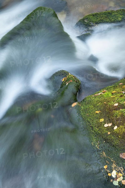 Moss-covered stones in mountain stream, Alvdal, Hedmark, Innlandet, Norway, September 2025