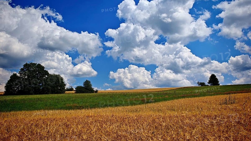 Extensive fields and green hills under a blue sky with clouds, Frankenwald nature park Park, Upper Franconia