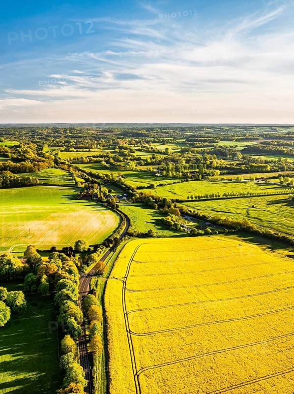 Rapeseed Fields and Farms over Horsebridge nad Stockbridge from a drone, Hampshire, England, United Kingdom