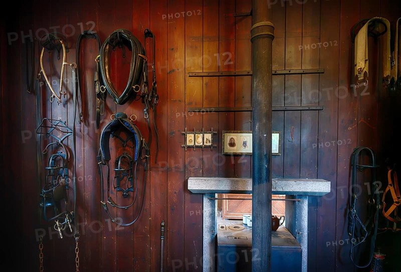 Interior view of horse stable, stables, workshop, bridles, Trelissick House and Gardens, House and Gardens, Feock, Cornwall, England, Great Britain, Great Britain