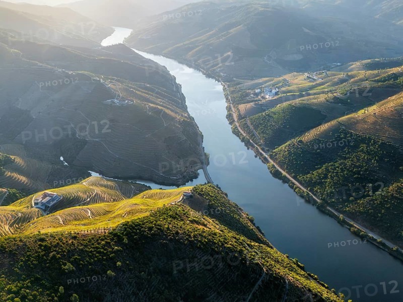 Aerial drone landscape of the Douro River winding through terraced vineyards and steep hills in Portugal's Douro Valley