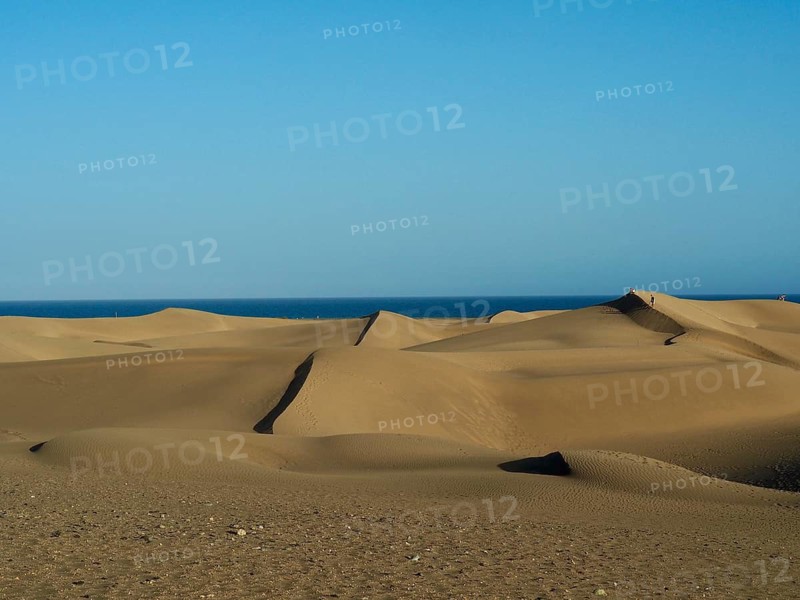 Wide dune landscape under clear blue sky, dunes of Maspalomas, Gran Canaria, Spain