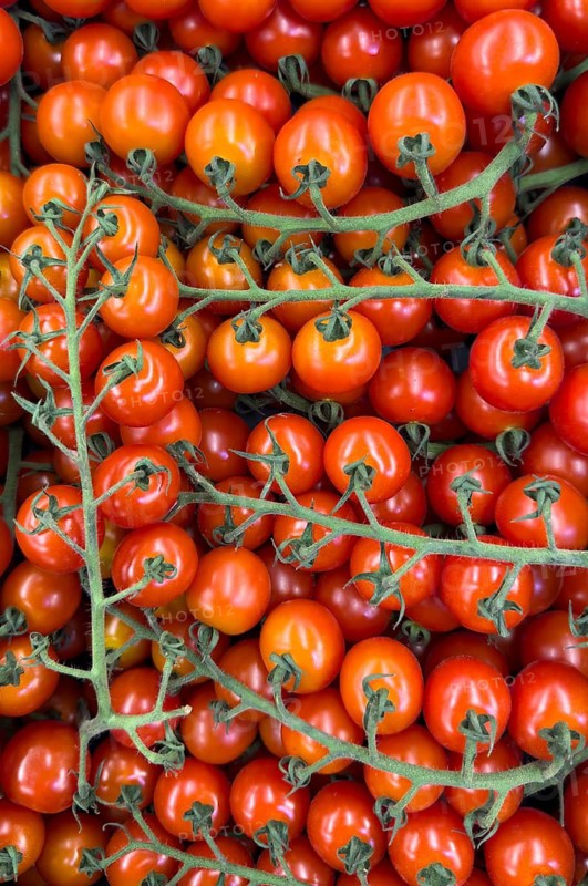 Cultivated tomatoes (Solanum lycopersicum) – vine tomatoes on display in a grocery shop, food retail outlet, supermarket, Germany