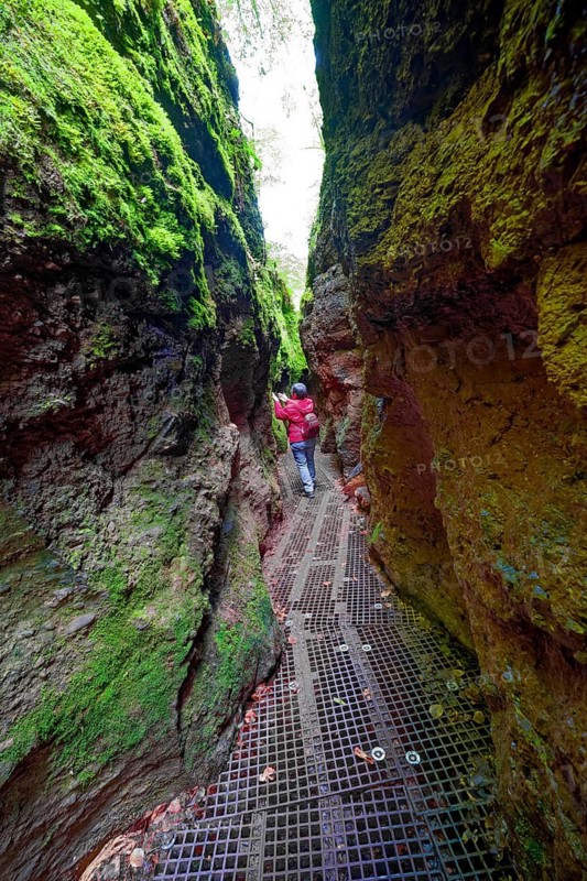 Hiking in the Dragon Gorge, gorge, hiking trail, hiking destination, fascinating, erosion, Eisenach, Thuringian Forest, Thuringia, Germany