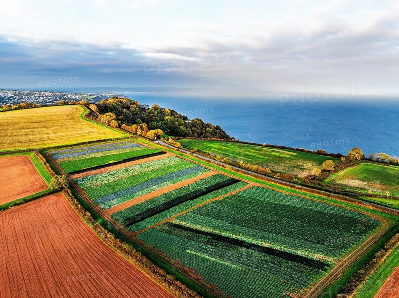 Colours of autumn Fields and Farms over Sheldon from a drone, Torbay, Devon, England, United Kingdom