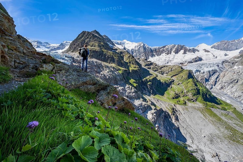Mountaineers in front of picturesque high-alpine mountain landscape with Grindelwald-Fiescherfirn glacier, hiking to Schreckhornhütte, Bernese Oberland, Switzerland