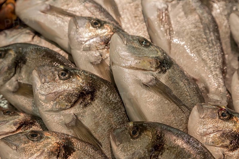 Fresh sea bream for sale, Majorca, Balearic Islands, Spain