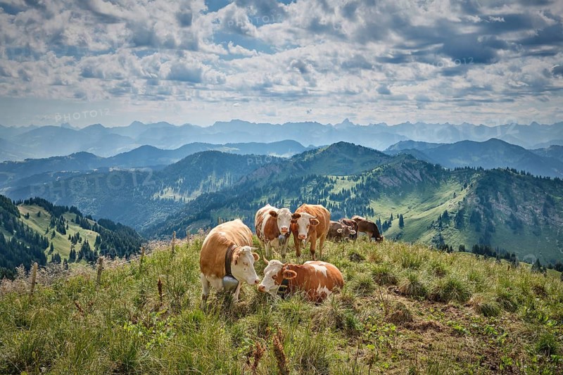 Alpine landscape with beautiful cloudscape on the Hachgrat summit in the Allgäu Alps, Oberstaufen Steibis, Bavaria, Germany