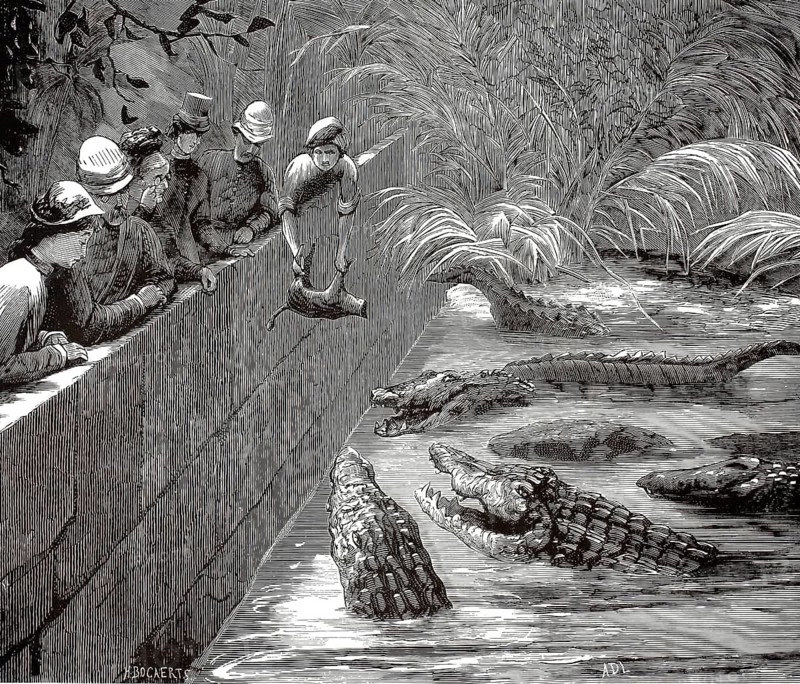 Crocodile feeding, the sacred alligators in India and Pakistan. Manghopir has been known for centuries for its tame swamp crocodiles, which were worshipped and fed by pilgrims and tourists alike at the Sufi shrine there, illustration, reproduction from a 19th-century model. Authentic, file restored for optimal use, exact date of submission unknown, historical