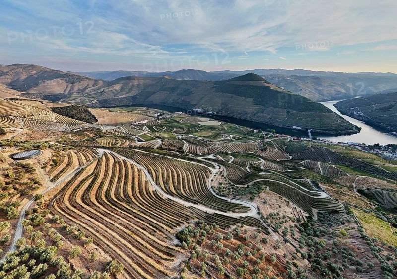 Drone capture of vineyard terraces intersected by winding dirt roads above the Douro River, highlighting structured agriculture in a mountainous landscape