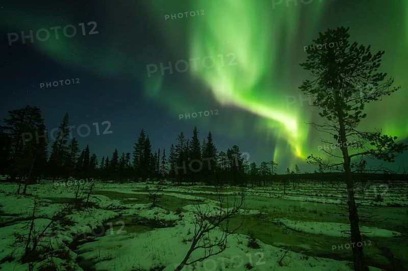 Northern Lights (Aurora borealis), Muddus National Park, Laponia World Heritage Site, Norrbotten, Lapland, Sweden, October 2024