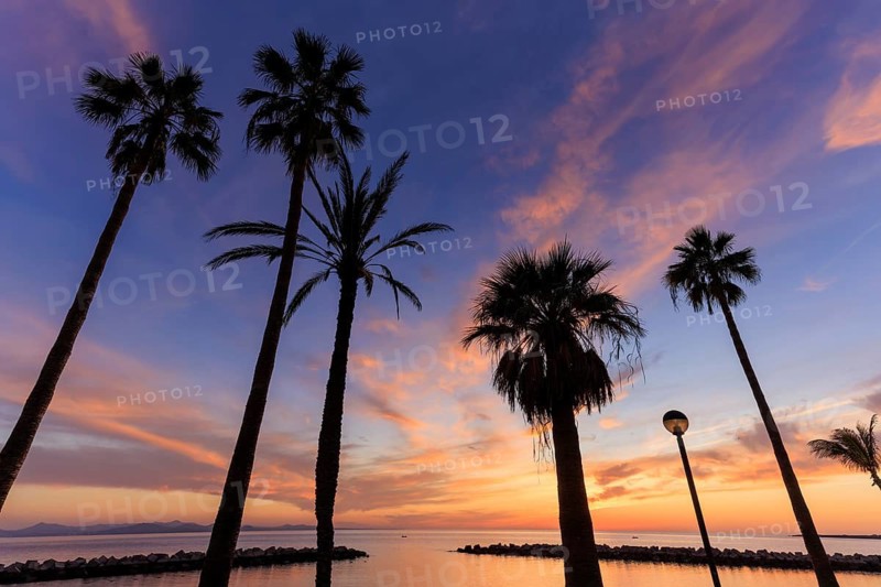 Lanzarote, Canary Islands, Spain, Europe, Playa Blanca, silhouettes of palm trees under a colorful sunset sky by the sea