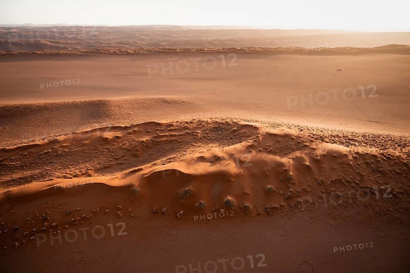 Sandy desert with Fairy Circles, circular areas, aerial view, Namib Desert, Namib Naukluft Park, Namibia
