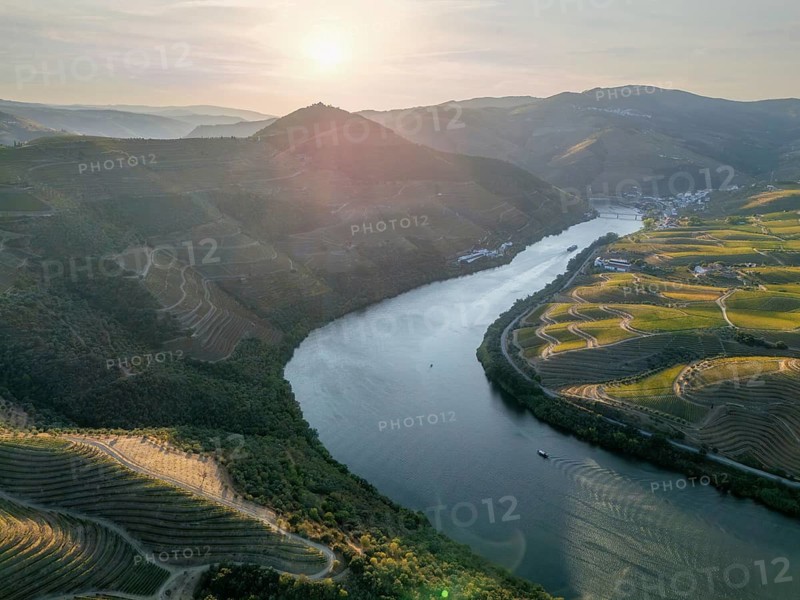 Aerial drone view of the Douro River winding between vineyard hills in Douro Valley, Portugal, with soft sunset light