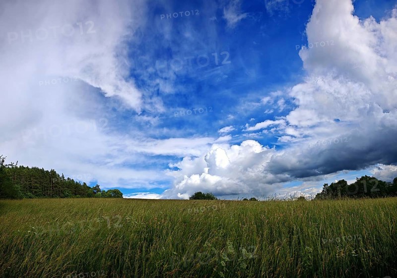 Wide meadow under blue sky with dramatic clouds and trees on the horizon, Frankenwald nature park Park, Upper Franconia