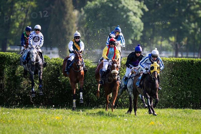WROCLAW, POLAND - MAY 10, 2026: Horse race track WTWK Partynice. International steeplechase for horses 5 years old and older. Horses jumping over tall green hedge