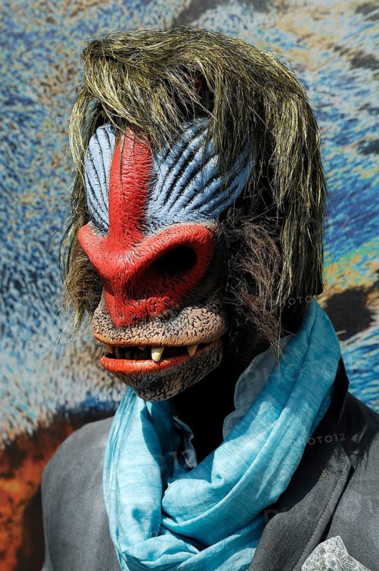 Mannequin with a baboon mask on her head in a fashion store, Nuremberg, Middle Franconia, Bavaria, Germany