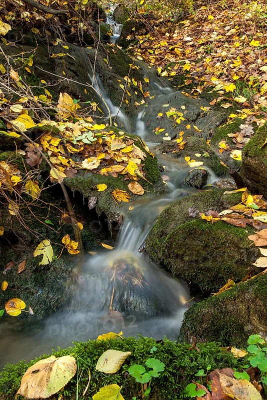 Autumn, stream, flowing water, autumn, high size, portrait format, landscape, spring area