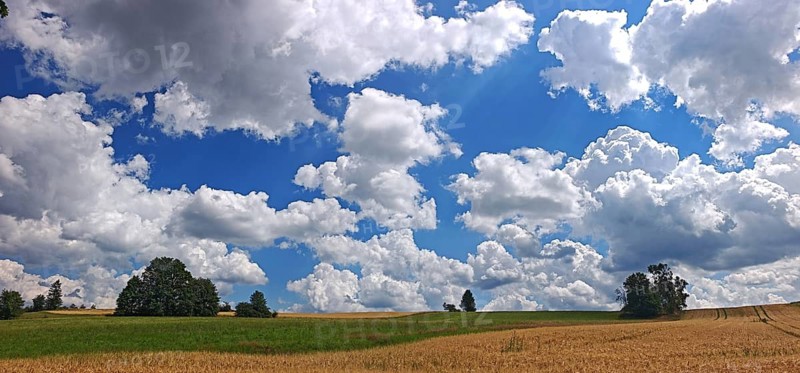 Extensive fields under a sky with white clouds in summer scenery, Franconian Forest nature park Park, Upper Franconia