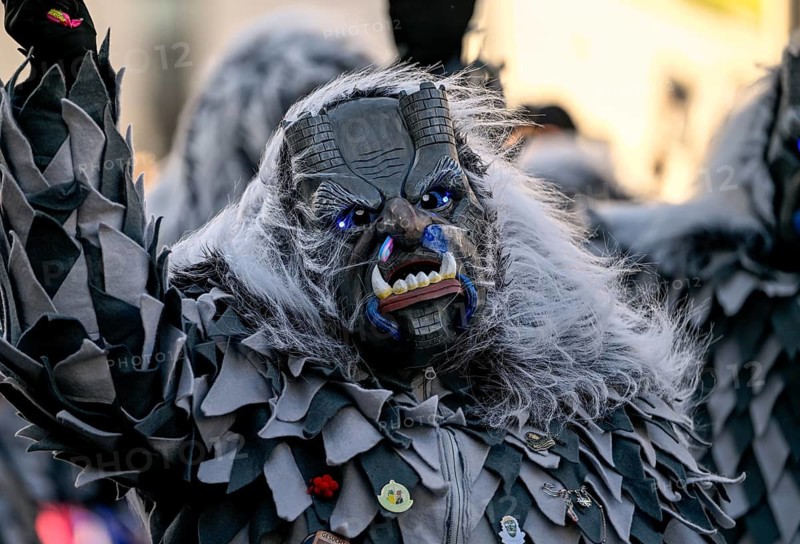 Member of a fools' guild in traditional Haes, fools' clothes, during the carnival procession in Achern, Ortenaukreis, Baden-Württemberg, Germany