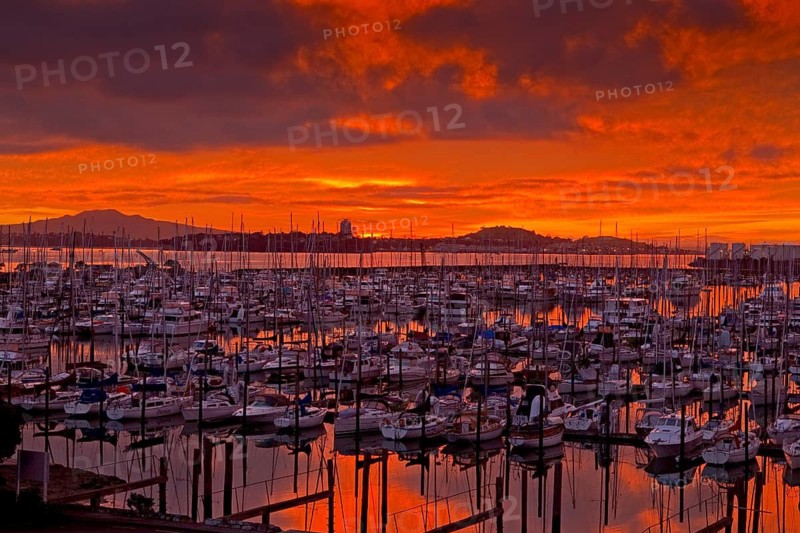 Sunrise over Westhaven Marina and Rangitoto Island, Auckland, New Zealand