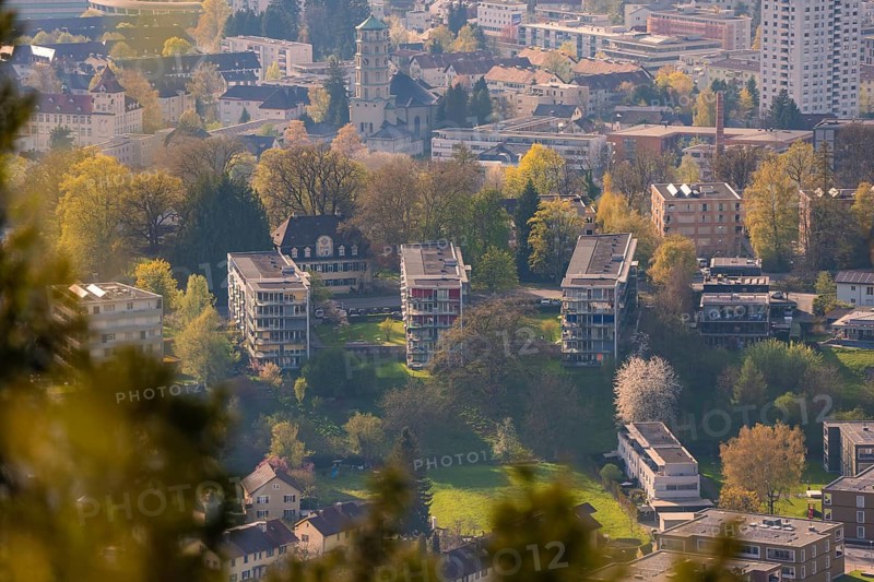 Residential area with blooming trees and church in the background, Bregenz, Austria