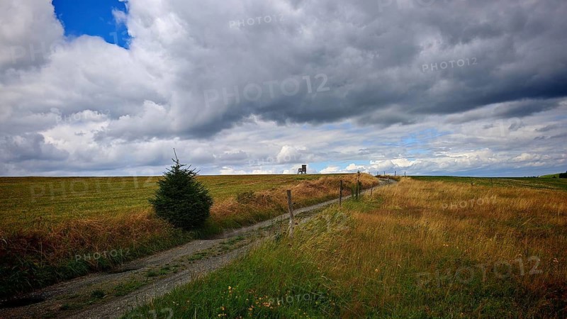 A narrow dirt road leads through wide fields while heavy clouds dominate the sky, hiking on the Rennsteig near Spechtsbrunn, Grünes Band, Thuringian Forest nature park Park