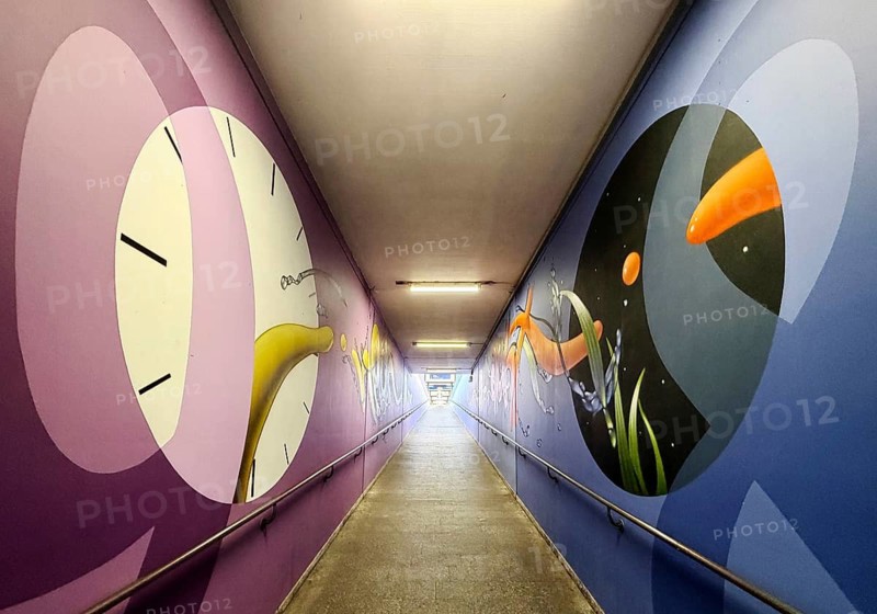 Artistically designed staircase to the tracks at the train station, Fulda, East Hesse, Hesse, Germany