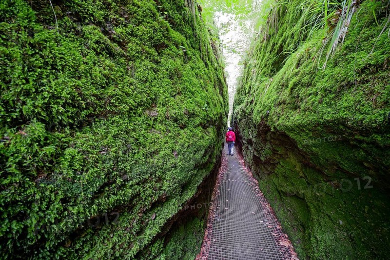 Hiking in the Dragon Gorge, gorge, hiking trail, hiking destination, fascinating, erosion, Eisenach, Thuringian Forest, Thuringia, Germany