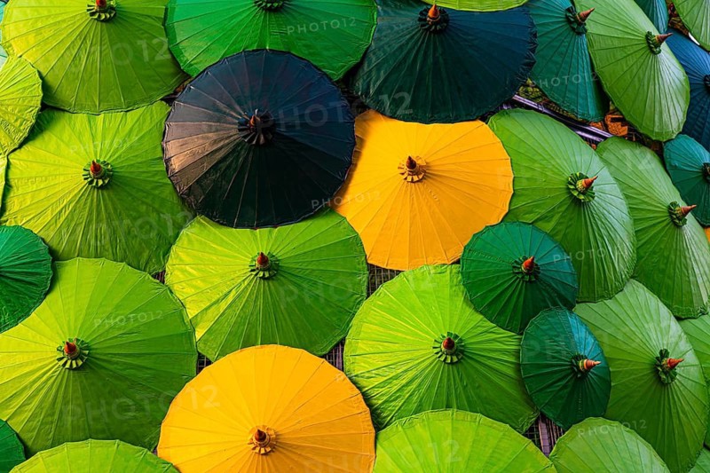 Green and yellow umbrellas, Chiang Mai Old Town Center, Chiang Mai Province, Thailand