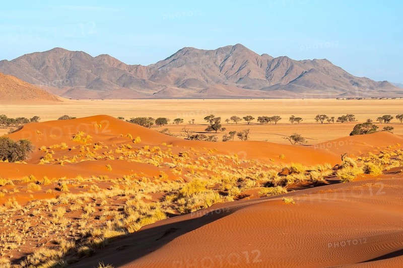 Evening atmosphere, sand dunes, landscape in the NamibRand Nature Reserve, Naukluft Mountains in the background, Namib Desert, Namibia
