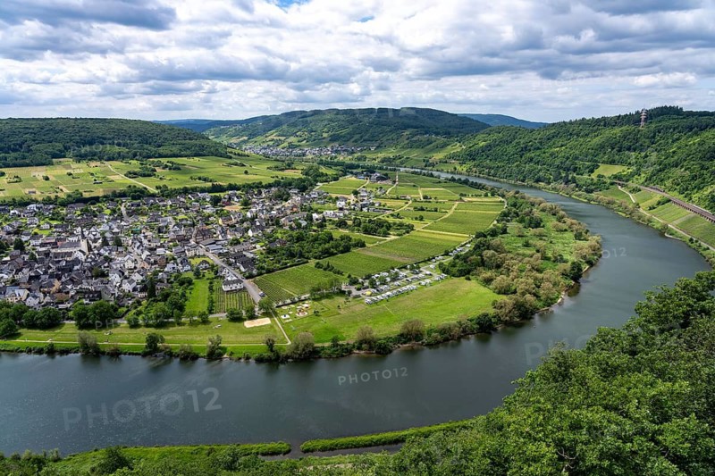 The wine town of Pünderich, in the district of Cochem-Zell, on the Moselle, view from the vineyards of the Pündericher Marienburg location, Rhineland-Palatinate, Germany
