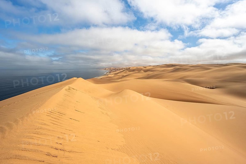 Sand dunes and sea, Atlantic coast and sandy desert with sea of dunes, Sandwich Harbour, Namib Naukluft Park, Namib Desert, Namibia