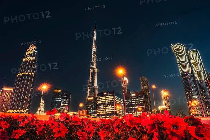 Dubai, UAE, 16th january, 2026: panorama Downtown, Burj Khalifa and illuminated global business hub skyline panorama at night.Burj Khalifa Night Skyline with Red Flowers Foreground.Dubai.UAE