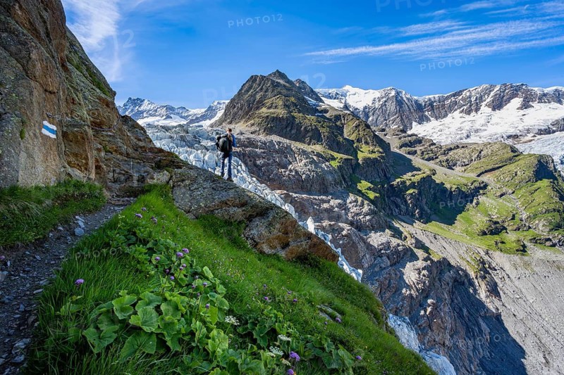 Mountaineers in front of picturesque high-alpine mountain landscape with Lower Eismeer glacier and Grindelwald-Fiescherfirn glacier, hiking to Schreckhornhütte, Bernese Oberland, Switzerland