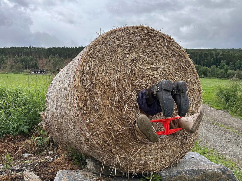 A person stuck upside down in a bale of hay in a field under a cloudy sky, sex, humor, Norway