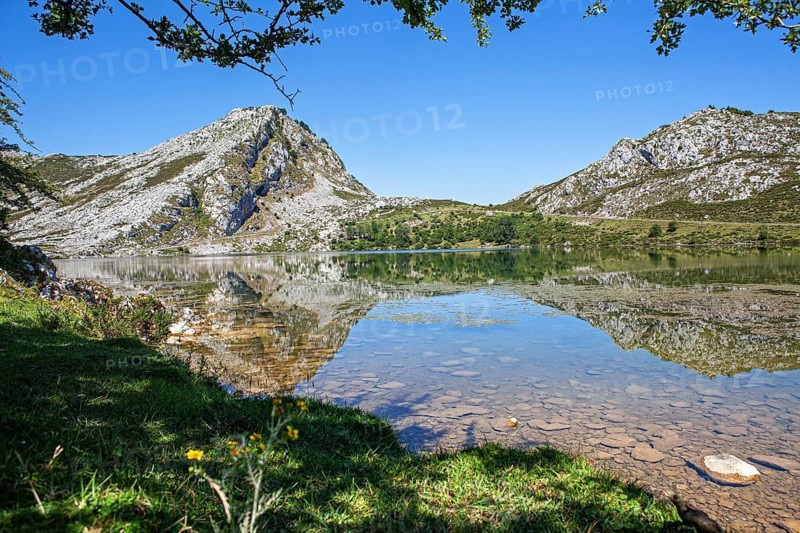 The Enol lake is part of the Covadonga lakes ensemble, located in Picos de Europa National Park, Asturias principality, Spain