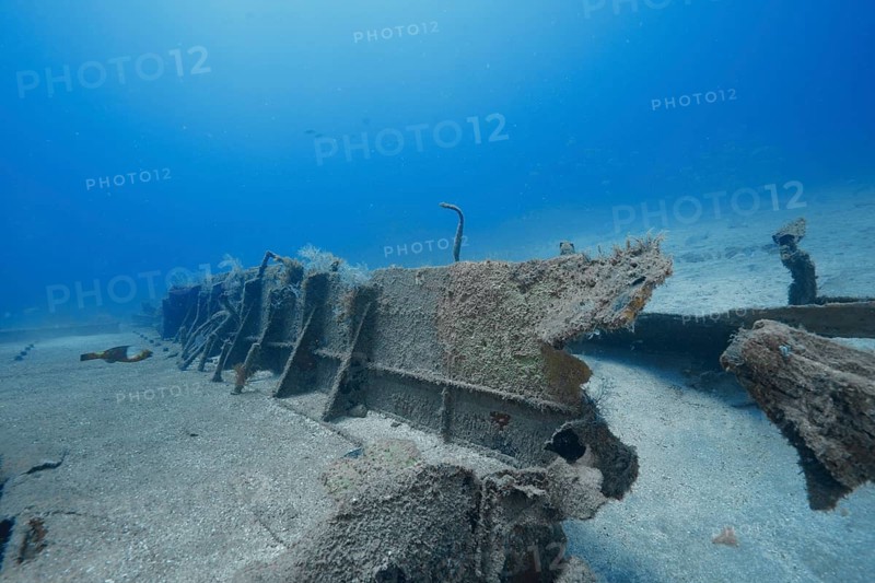 Partially preserved metal plates from a wreck on the sandy seabed, meteor wreck dive site, Russian hydrofoil, Arguineguin, Gran Canaria, Spain, Europe, Atlantic