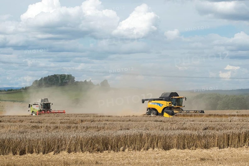 Harvest, industrial agriculture, intensive agriculture, combine harvester