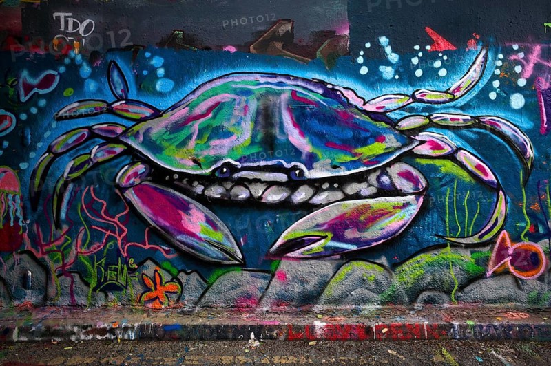 Crab, legal, temporary graffiti in the graffiti tunnel, Leake Street Arches, London, England, Great Britain, Great Britain