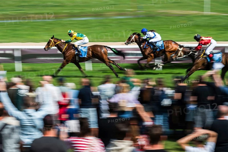 WROCLAW, POLAND - MAY 10, 2026: Horse race track WTWK Partynice. International race Group II for 4-year-old horses. Horse race in progress at Wroclaw racetrack, jockeys galloping past cheering crowd, real authentic sports atmosphere