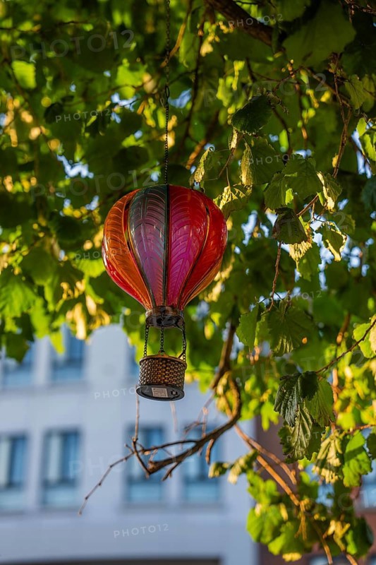 Decorative hot air balloon dangling in a tree with green leaves under bright sunlight, Dublin, Ireland