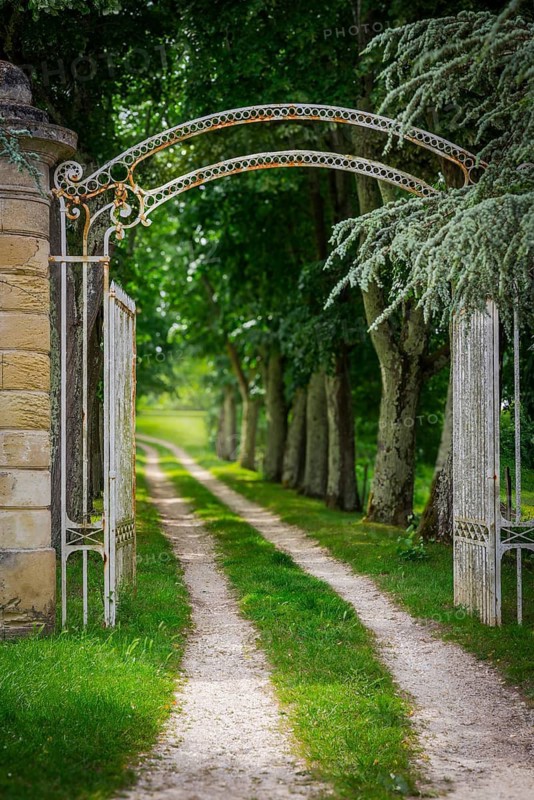 Romantic trail through an avenue in the Mèdoc region, France