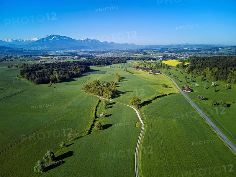 Blooming trees, fields and meadows, in the background the snow-covered Alps with Mount Pilatus, Abtwil, Freiamt, Aargau Canton, Switzerland